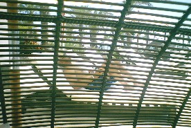 Shhhh, I'll just snap this